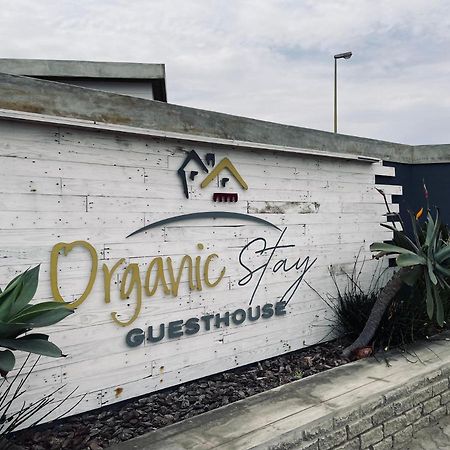 Organic Stay Guesthouse Swakopmund Luaran gambar